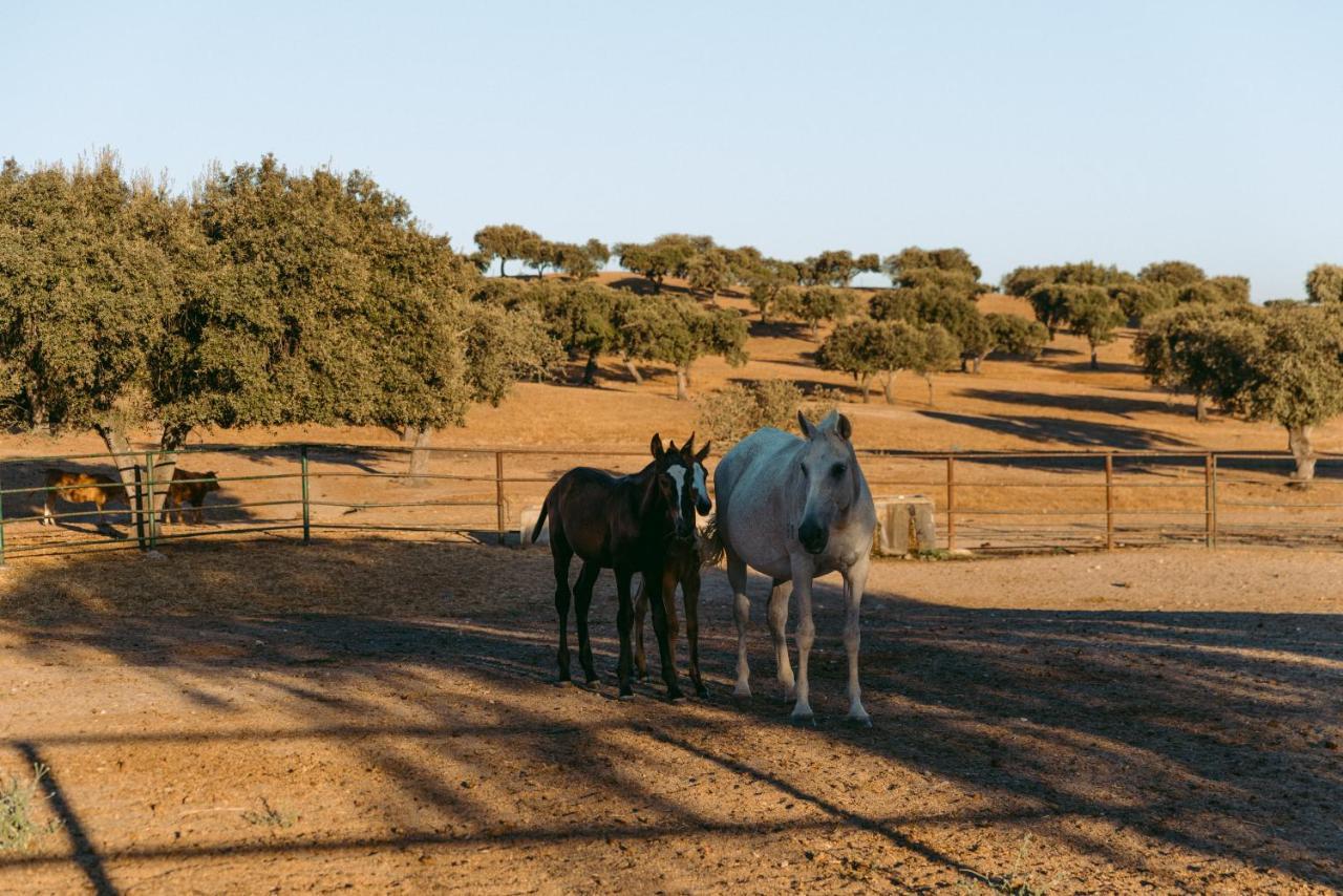 Herdade Da Caniceira Ervedal Exterior foto